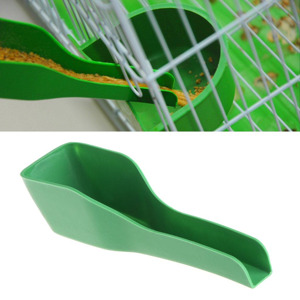 Cuillère d'alimentation manuelle pour oiseaux - En plastique - Pour nourriture et eau - Pour canard, caille