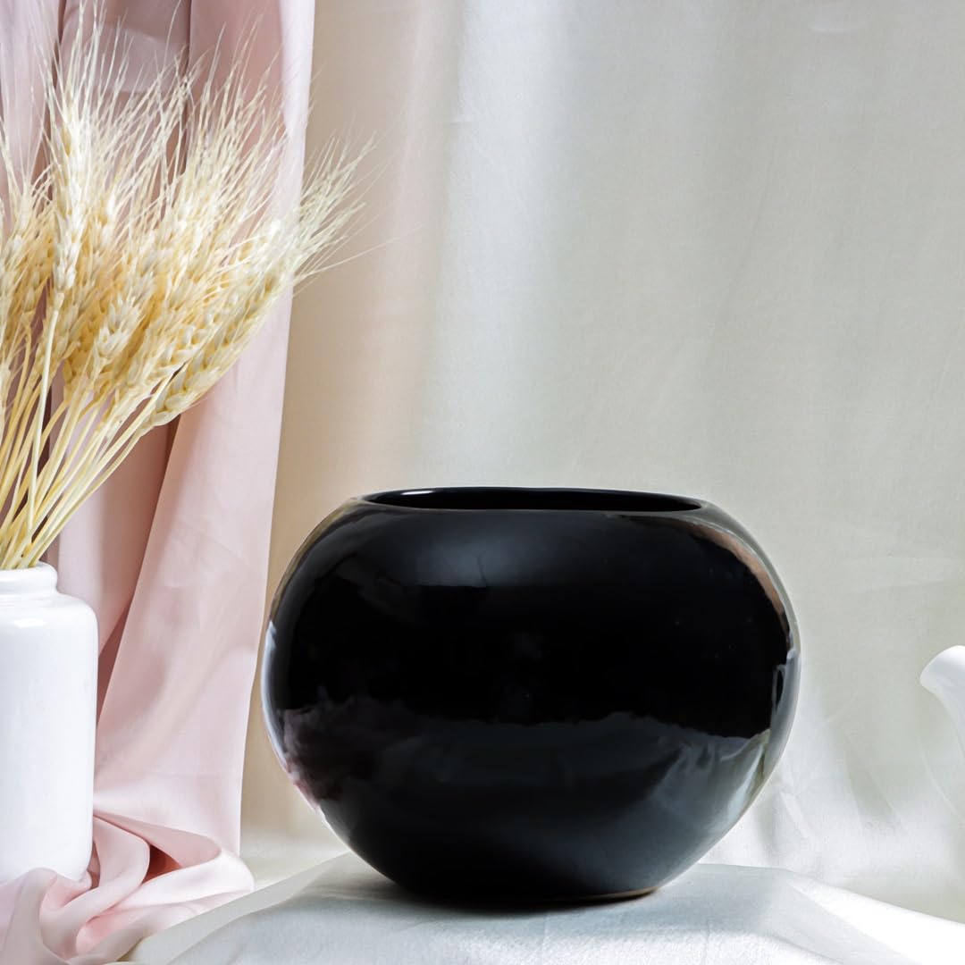Flora Dlite Black Fish Bowl Ceramic Flower Pot - Indoor Live Plant Pot for Home Decor | Perfect Pot for Plant Small for Office Desk | Stylish Indoor Plant Pots for Living Room Pack of 1 (B0D8V7BCD3) Amazon Price History, Amazon Price Tracker