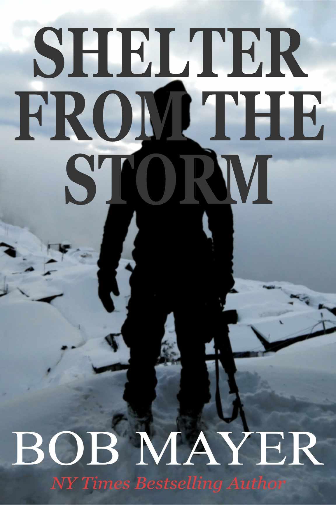 Shelter From The Storm: The Green Berets. Will Kane #6
