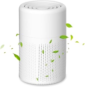Air Purifier with HEPA Filter, USB Air Purifier with Aromatherapy, Quiet Air Purifier for Indoor, Home, Office, Dust, Smok…