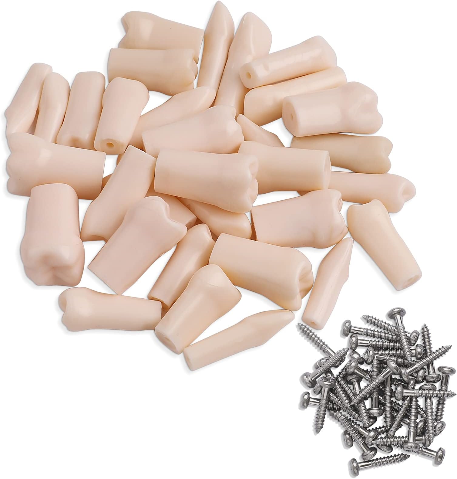 ANNWAH Removable Typodont Teeth for Dental Typodont Teeth Model, Dental Practice and Teaching Replace Detachable Model （28Pcs/Set）