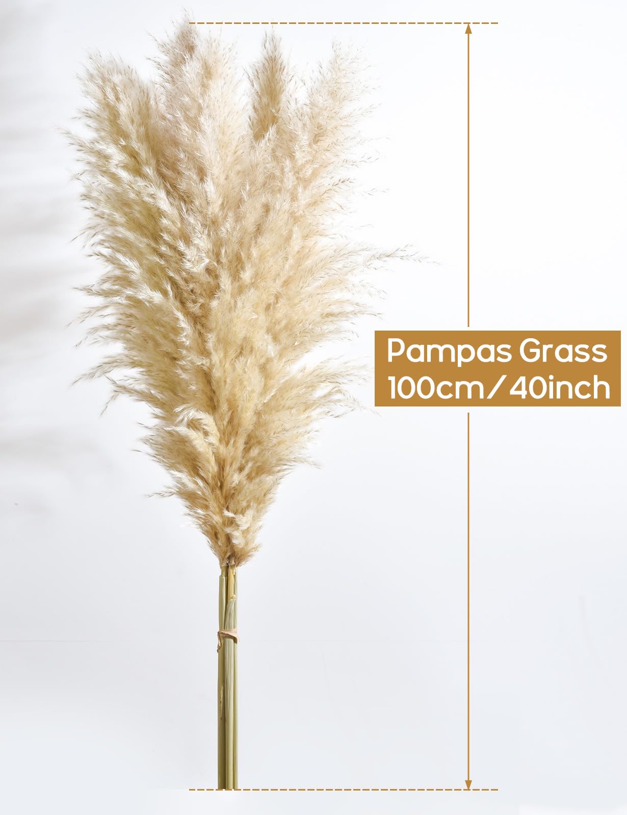 10 Stück Pampasgras Groß (39In/100cm), Pampas Grass XXL, Pampasgras für Boho DekoWohnzimmer Tisch Schlafzimmer Hochzeits Badezimmer Vase