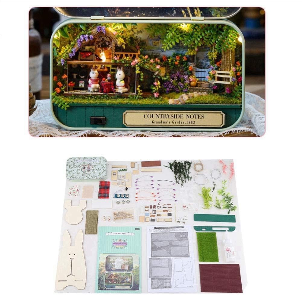 ZASCHMOY DIY Miniature Handmade Box Dollhouse - Good Old Time Theme, Ramble in Winter, Improves Hand-Eye Coordination, Creative Home Decoration (Pastoral notes)