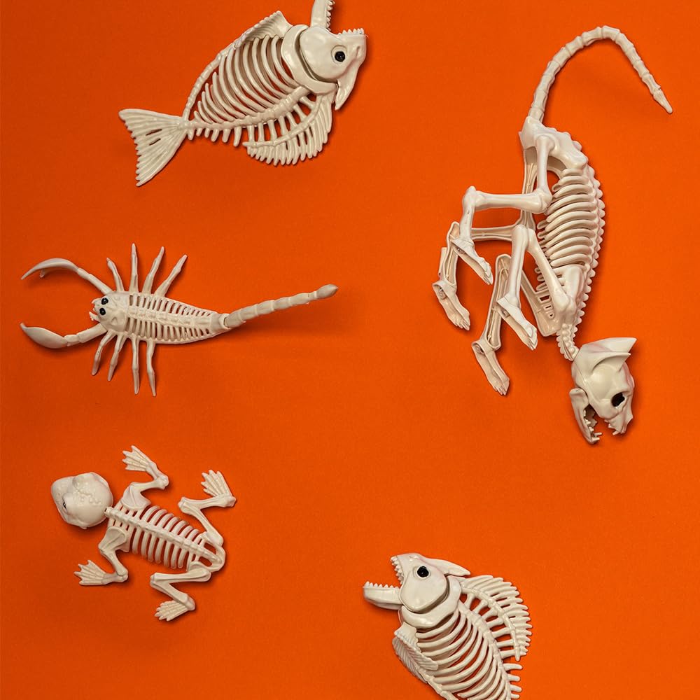 Boland - 72400 - Szkielet ryby, rozmiar 24 cm, ruchome usta, plastikowa atrapa, dekoracja na Halloween, karnawał lub imprezę tematyczną