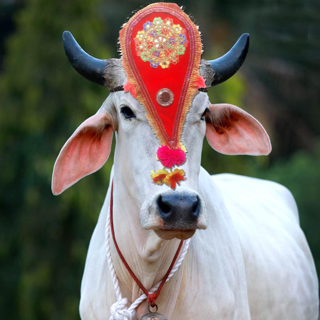 Buffalo/Bull/Halter, Leash, Cord, Head Charm, Belt, Head Strap - 44 cm Embellished Cow Collar Charm in Red