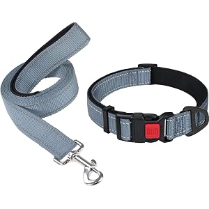 Taglory 16"-24" Dog Collar and 6 FT Dog Leash Set, Highly Reflective Threads Dog Leash, Adjustable Reflective Dog Collar with Safety Locking Buckle for Large Dogs
