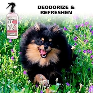 Wahl USA Cornflower Aloe Pet Deodorant Spray for All Dogs & Cats – Clean Fresh Smell Refreshes & Deodorizes – 8 oz - Model 820009A Wahl USA Cornflower Aloe Pet Deodorant Spray for All Dogs Cats–Clean Fresh Smell Refreshes Deodorizes–8 oz Model 820009A