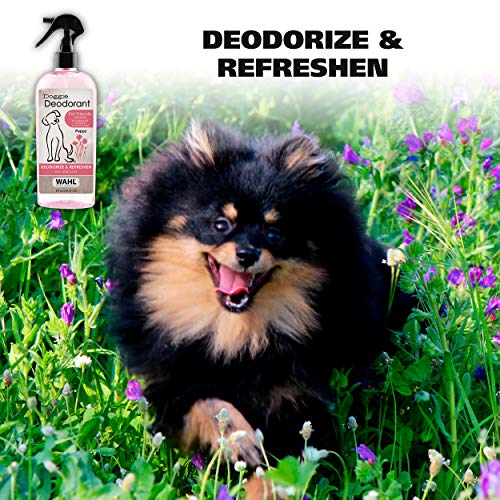 Wahl-USA-Cornflower-Aloe-Pet-Deodorant-Spray-for-All-Dogs-Cats–Clean-Fresh-Smell-Refreshes-Deodorizes–8-oz-Model-820009A Wahl USA Cornflower Aloe Pet Deodorant Spray for All Dogs Cats–Clean Fresh Smell Refreshes Deodorizes–8 oz Model 820009A