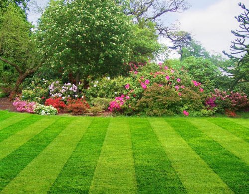 Lawn fertilizer for more growth - Lawn fertilizer pellets - for all Types of Lawns by Bharath Agencies ® - 100% Water Soluble - 10000 Grams (B07JR5ZXVQ) Amazon Price History, Amazon Price Tracker
