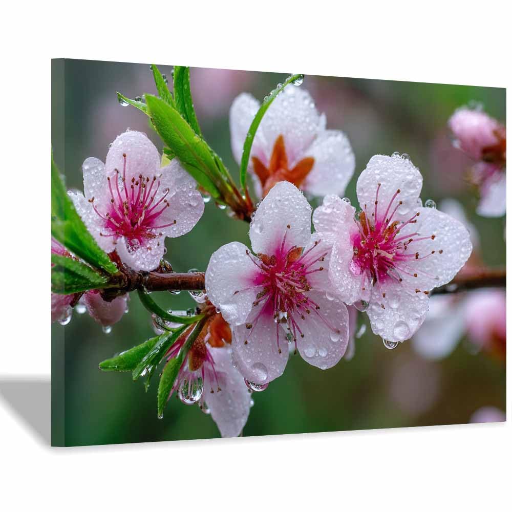 ZAMAEIU Large Nature Canvas Paintings Prints Peach Branch in blooms Landscape Picture, Modern Living Room Decor, Dining Room Hallway Home Decoration(black and white)-60x90cm Framed