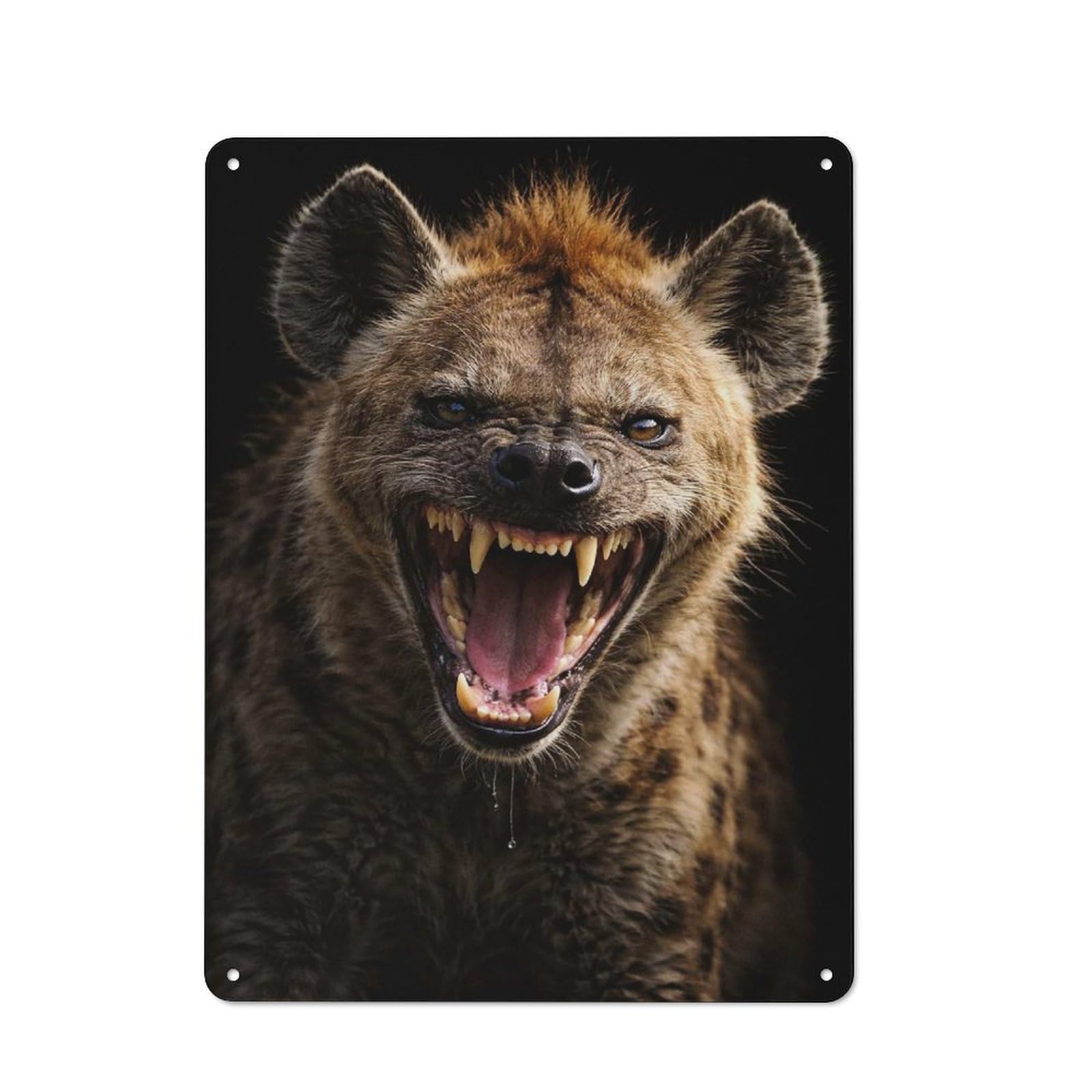 Junmoney Style-11 Aggressive Hyena Snarling Tin Sign 40X30cm For Hallway Wall, Retro Wall Decor, Suited To New Home Decorators