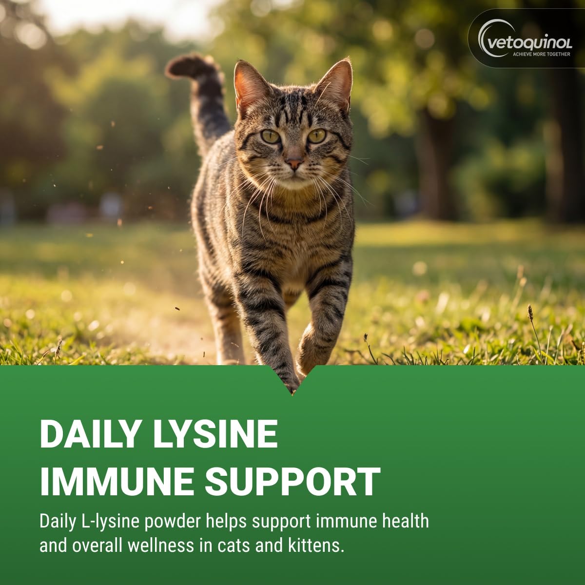 Vetoquinol Viralys, Lysine Powder for Cats and Kittens, 100 g — Amazon image 2
