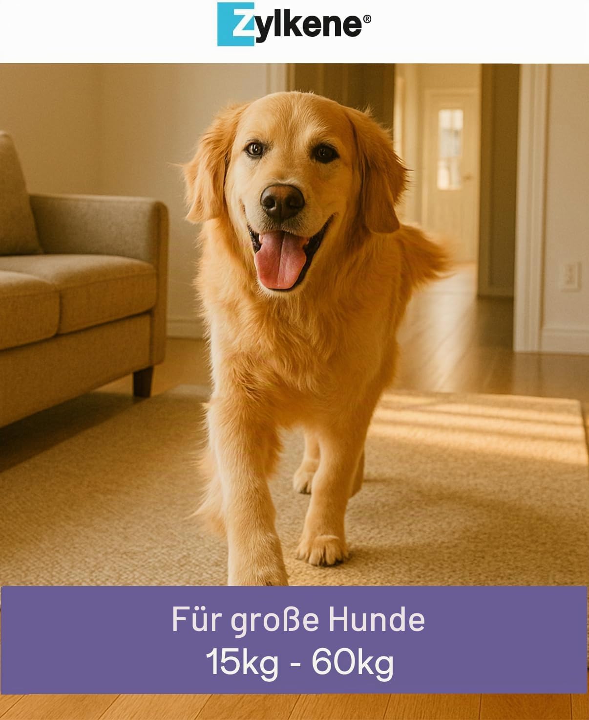 Zylkene Ergänzungsfuttermittel | Hunde über 15 kg | Entspannend bei Unwohlsein | 100 Kapseln á 450 mg