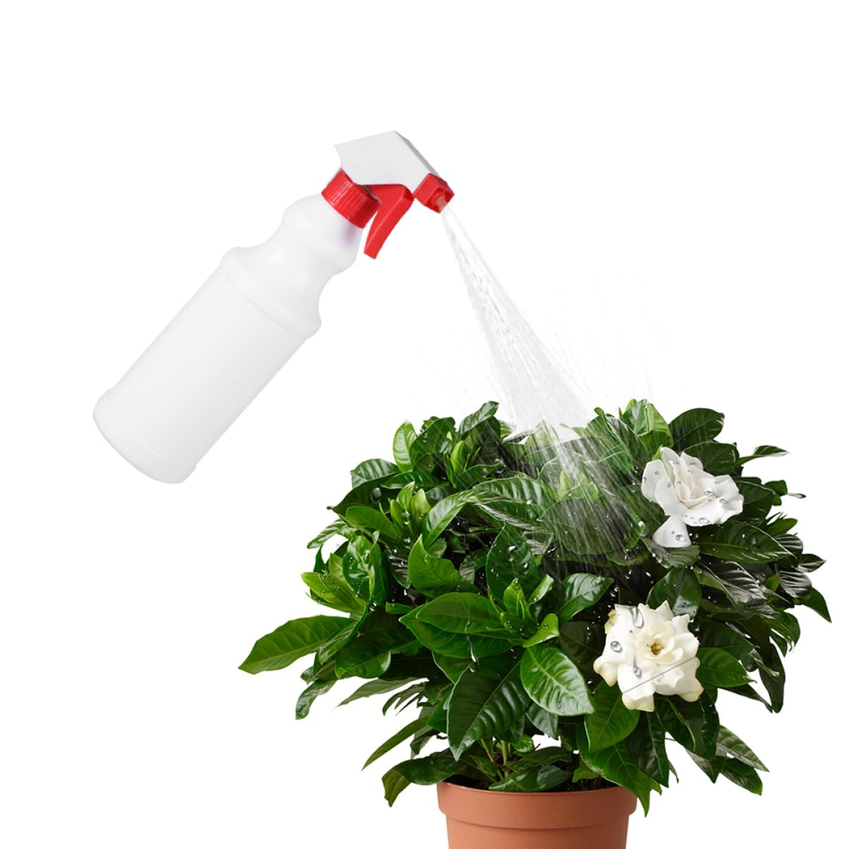 FRCOLOR Botella de Spray 500ml Plástico Roja Pulverizadora