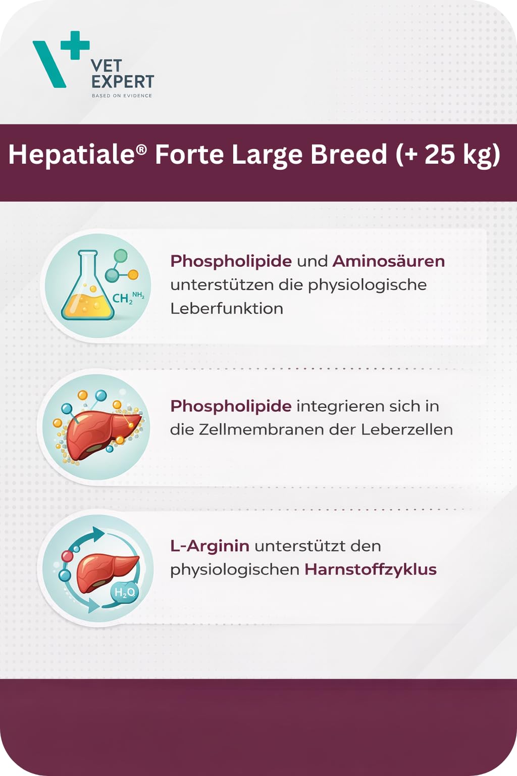 VetExpert Hepatiale Forte Large Breed | Paquete Doble | 2 x 40 Tabletas | Suplemento Dietético para Perros Grandes | Función Hepática Natural