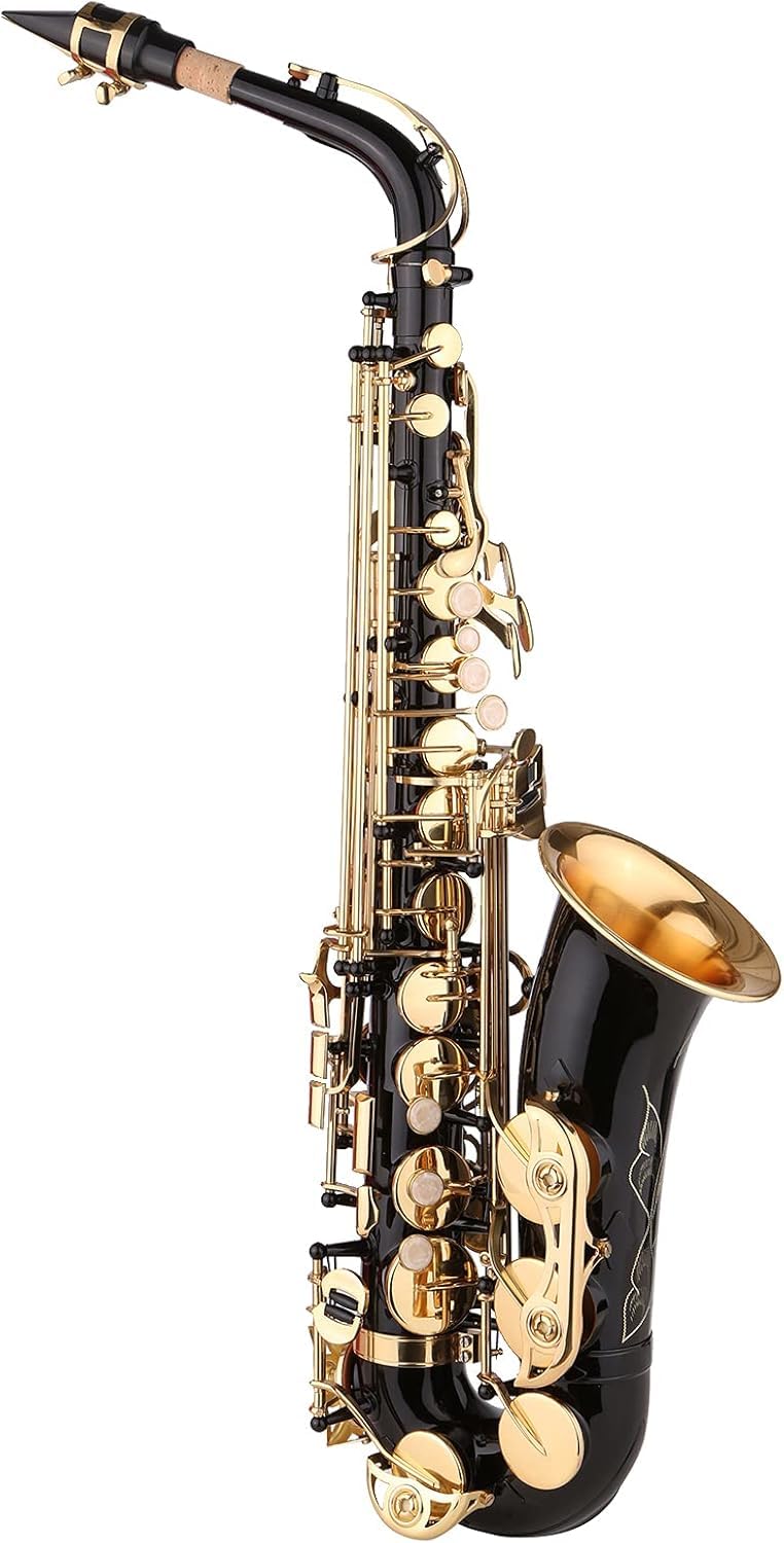 Sassofono Contralto in MIB con Vernice Nera per Principianti, Studenti E Musicisti Intermedi, in Ottone, con Bocchino, Custodia, Panno per La Pulizia, Spazzola