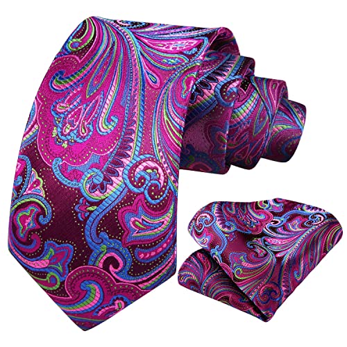 Image of HISDERN Ties for Men Paisley Tie and Pocket Square Woven Classic Floral Mens Ties Handkerchief Set Wedding Party Necktie