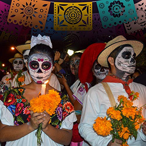 Day Of The Dead Face Tattoos Skeleton, Dia De Los Muertos Makeup Day Of The Dead Makeup,Skeleton Sugar Skull Face Tattoo Kit,Halloween Makeup Skeleton Tattoos Temporary,Glitter Red Roses Face Body #TOP1