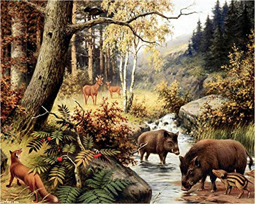 5D Diamant Broderie Animaux De La Forêt Diamant Point De Croix Cristal Diamant Arts Décoratif Bricolage Diamant Peinture Peinture Sanglier 30X40cm