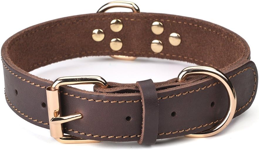 Genuine Leather Dog Collar, Heavy Duty Wide Dog Collar for Small, Medium,Large and Extra Large Dog (M: 1" Wide for 15.2"-19.2" Neck, Single Stitch - Brown)