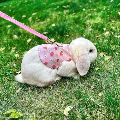 Image of 2 Sets Rabbit Harness and Leash, Cute Adjustable Bunny Clothes Harness Escape Proof Pet Supply (Pink, L)