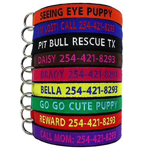 Go Go Cute Puppy- Personalized Dog Collars