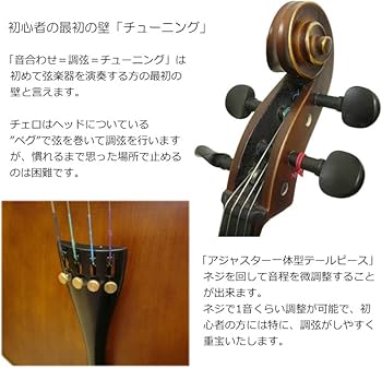 【良品】Hallstatt HC-450 チェロ 4/4 ハルシュタット 51vxctSoxTL.jpg_BO30,255,255,