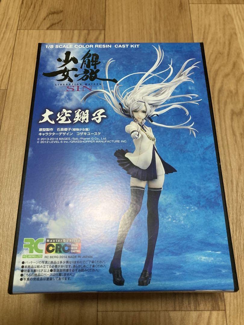 Amazon.co.jp: 解放少女SIN 大空翔子 ガレージキット : おもちゃ