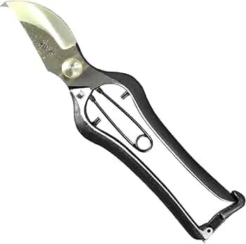 61-YfU9H4zL._AC_UF350,