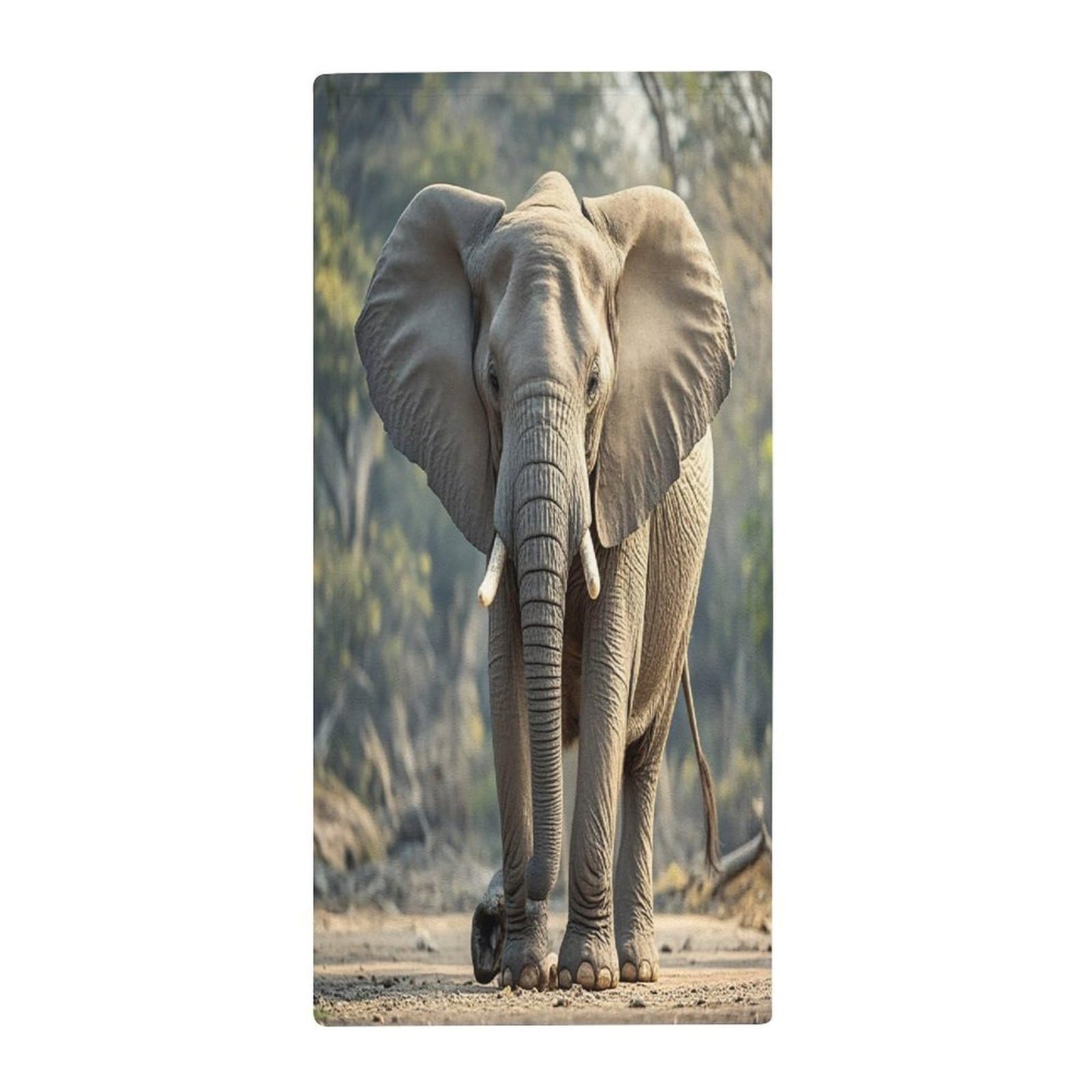 FekiLoot Elephant Hand Towels Coral Velvet Highly Absorbent Towel,Classic Luxury Printed Hand Towels Soft Hands Face Towel for Bathroom Kitchen Salon Workout 13.8 X 28.7 in