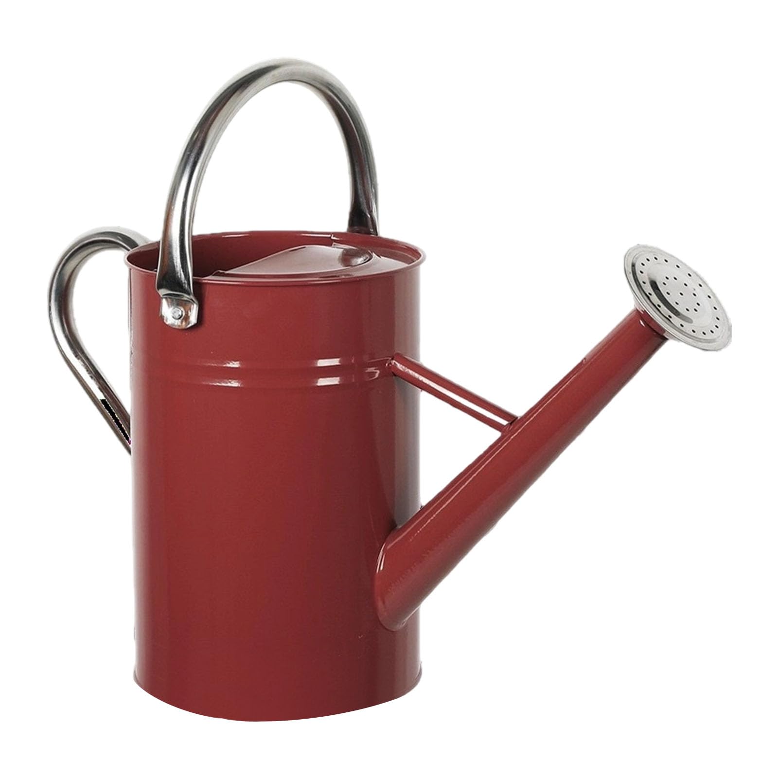 Robuste 5-Liter Gießkanne aus Stahl mit ergonomischem und Verstellbarer Düse für die Pflanzenpflege Garten Retro Stil