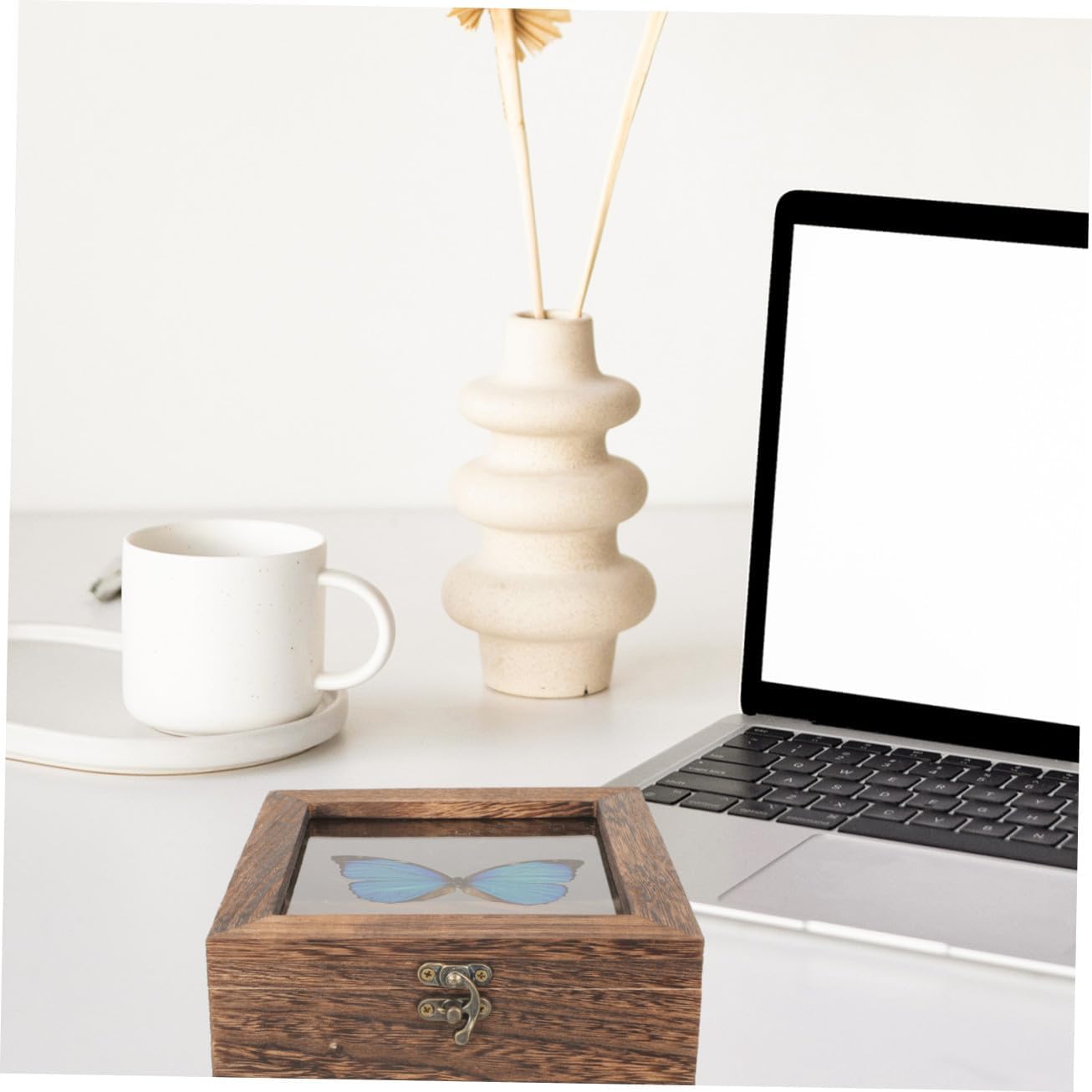 3pcs Vintage Style Butterfly Specimen Display Case Lidded Jewelry Box for Collectibles -type Storage Carbon for Butterfly