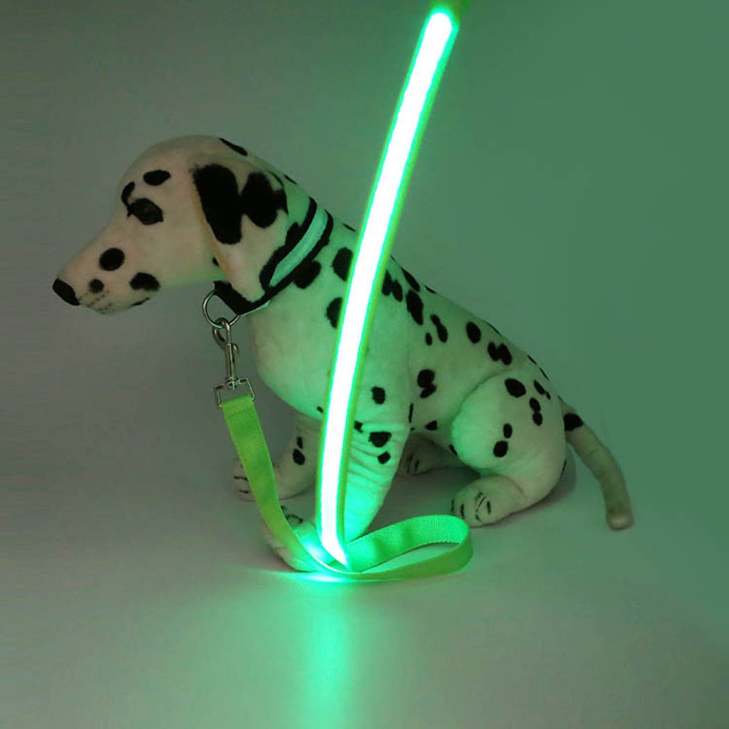 Abcsea Pet Glow Rope Leash, Dog Buckle Rope Leash, Strap Rope, Pet Glow Rope Light Up in Dark - Green, 1 PCS