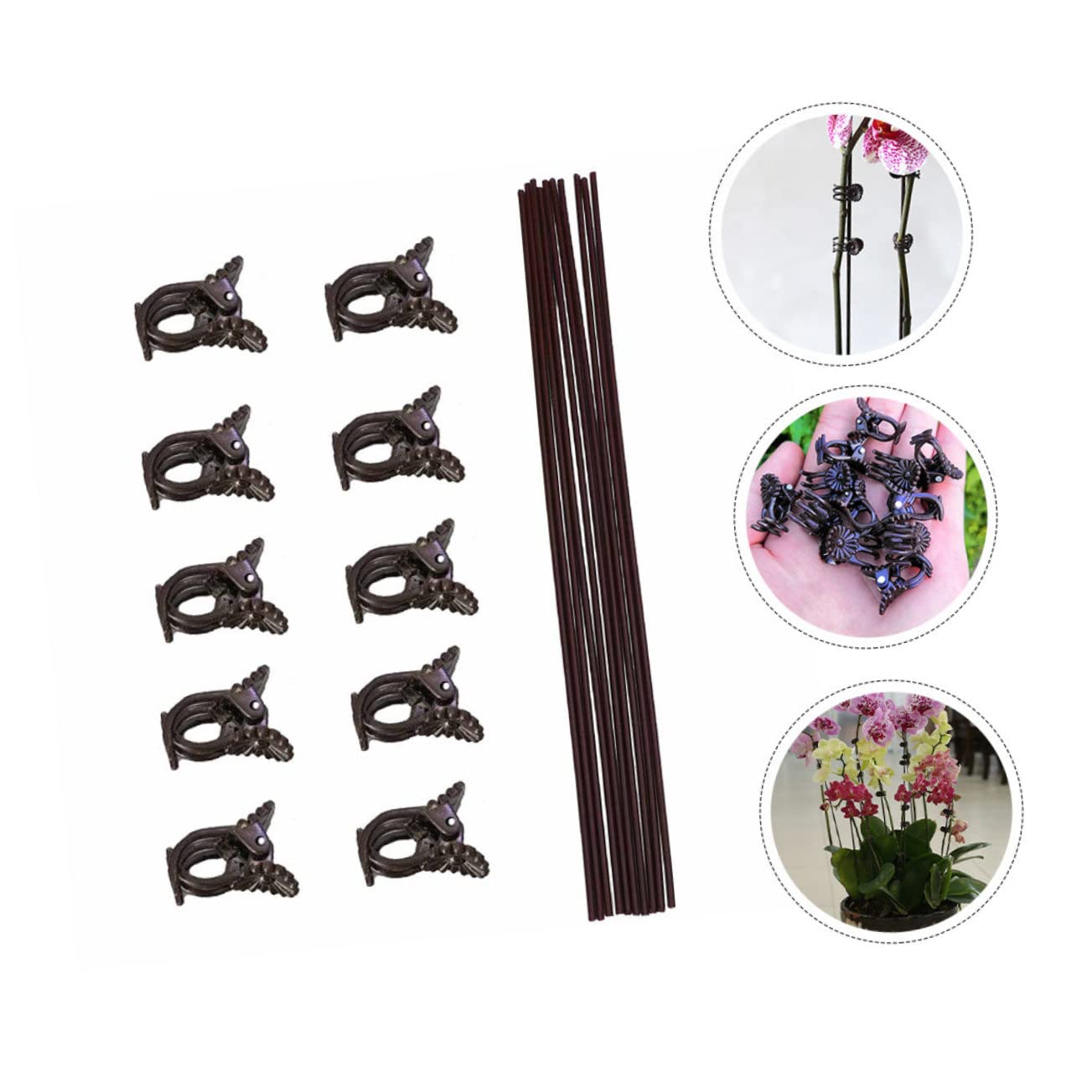 Abaodam 2 Sätze Teiliges Set Pflanzenklemmen Für Kletterpflanzen Phalaenopsis Halterungen Mit Clips Und Eisenstützen Zur Unterstützung Und Fixierung Von Pflanzen 20 Stück * 2