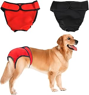 For Bid For Dogs Picks collage image 4