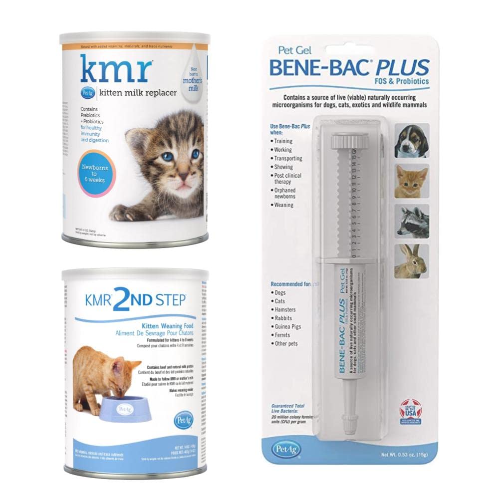 Replacer Plus Kitten Meal Replacement Petag Kmr Kitten Milk