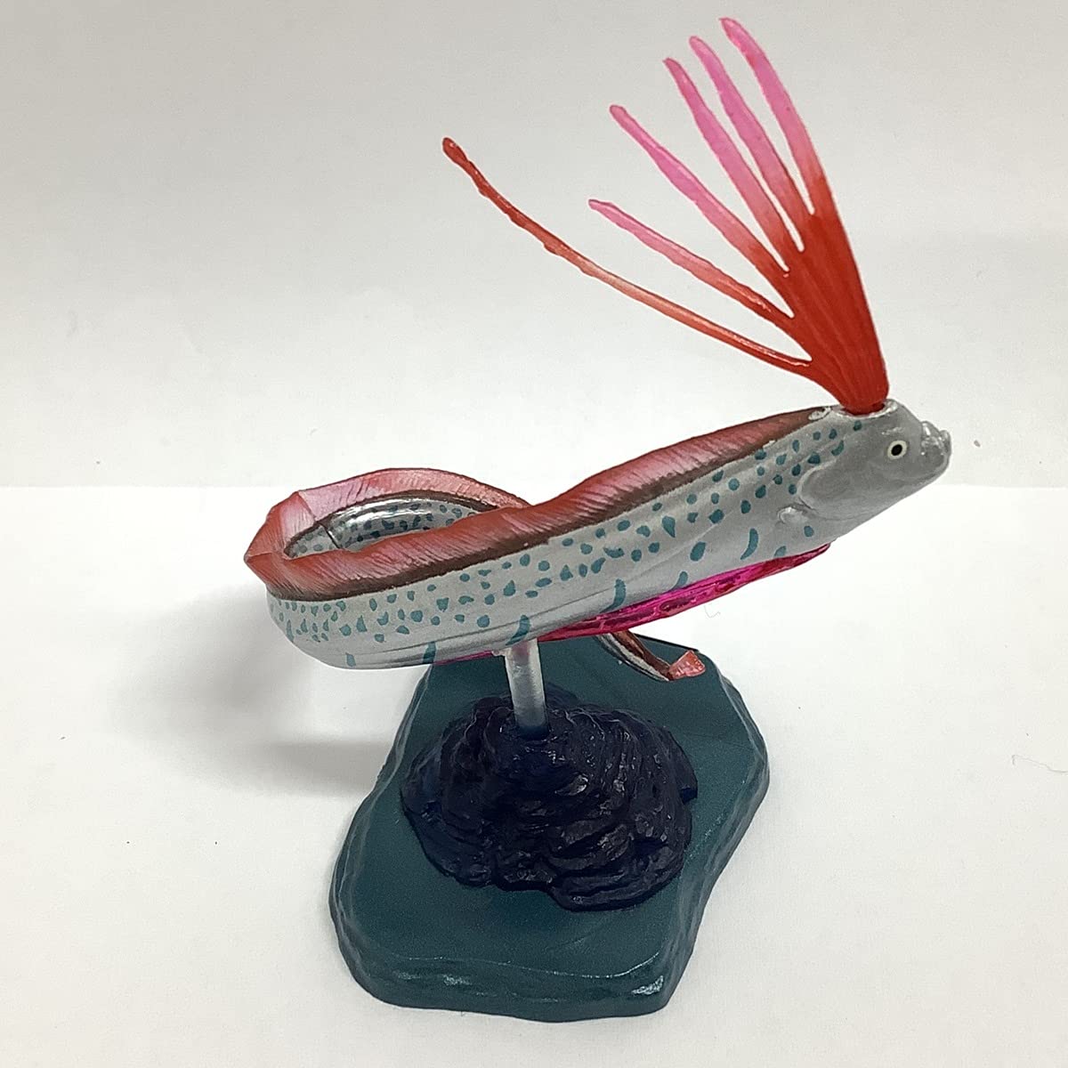 Amazon | 海洋堂 水族館フィギュアコレクション 深海生物 (特別版