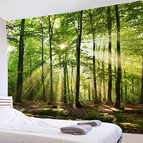 LB 風景画 タペストリー 森と日光 自然 緑 壁掛け おしゃれ インテリア ホーム装飾 多機能 部屋飾り 布ポスター リビング お店 書斎 個性ギフト 気分転換 (200x150cm)