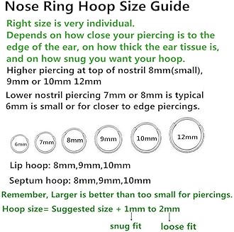 BLESSMYLOVE Clear CZ Nose Rings & Earrings - 316L Surgical Steel - Cartilage, Conch, Daith, Helix, Rook, Tragus, Lobe & Snug Body Piercing Jewelry - 20G, 18G