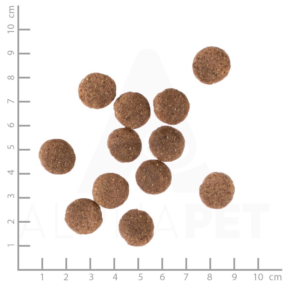Geflügel | Trockenfutter mit natürlichen Zutaten und wertvollen Superfoods für ausgewachsene Hunde. Alleinfutter ohne Zusatzstoffe im Beutel | 30kg Geflügel