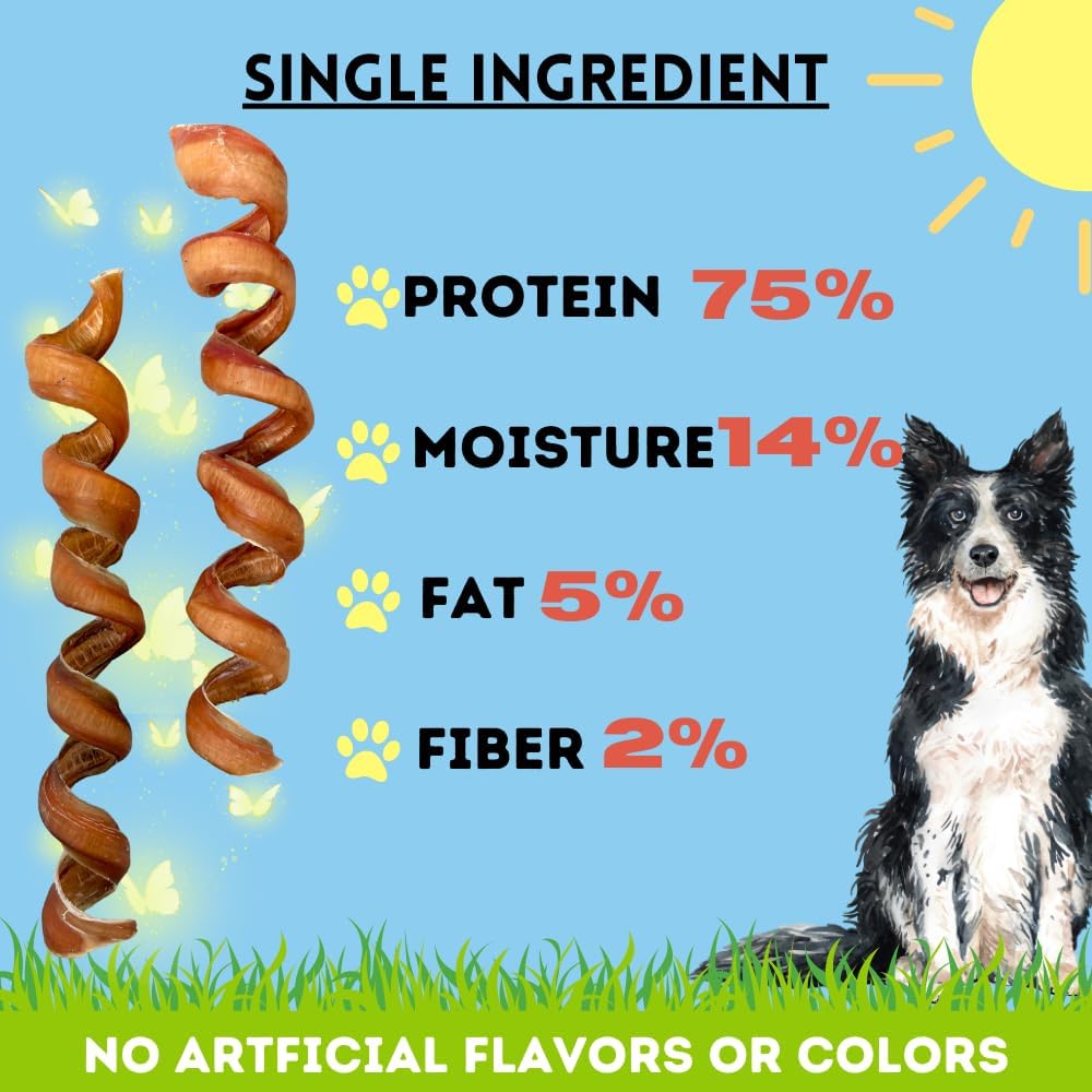 BULLYSTICKS & MORE - Bully Stick Spring 6-8" - 12 Count