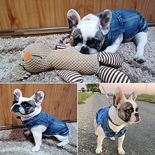 Brocarp Dog Jean Jacket, Blue Denim Lapel Vest Coat T-Shirt Costume Cute Girl Boy Dog Puppy Clothes, Comfort And Cool Apparel, For Small Medium Dogs Cats, Machine Washable Dog Outfits (Xs, Blue) #TOP5