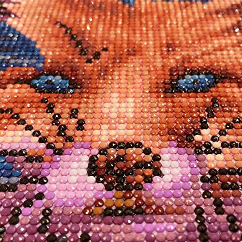 AIRDEA Volpe Diamond Painting Kits,5D completo