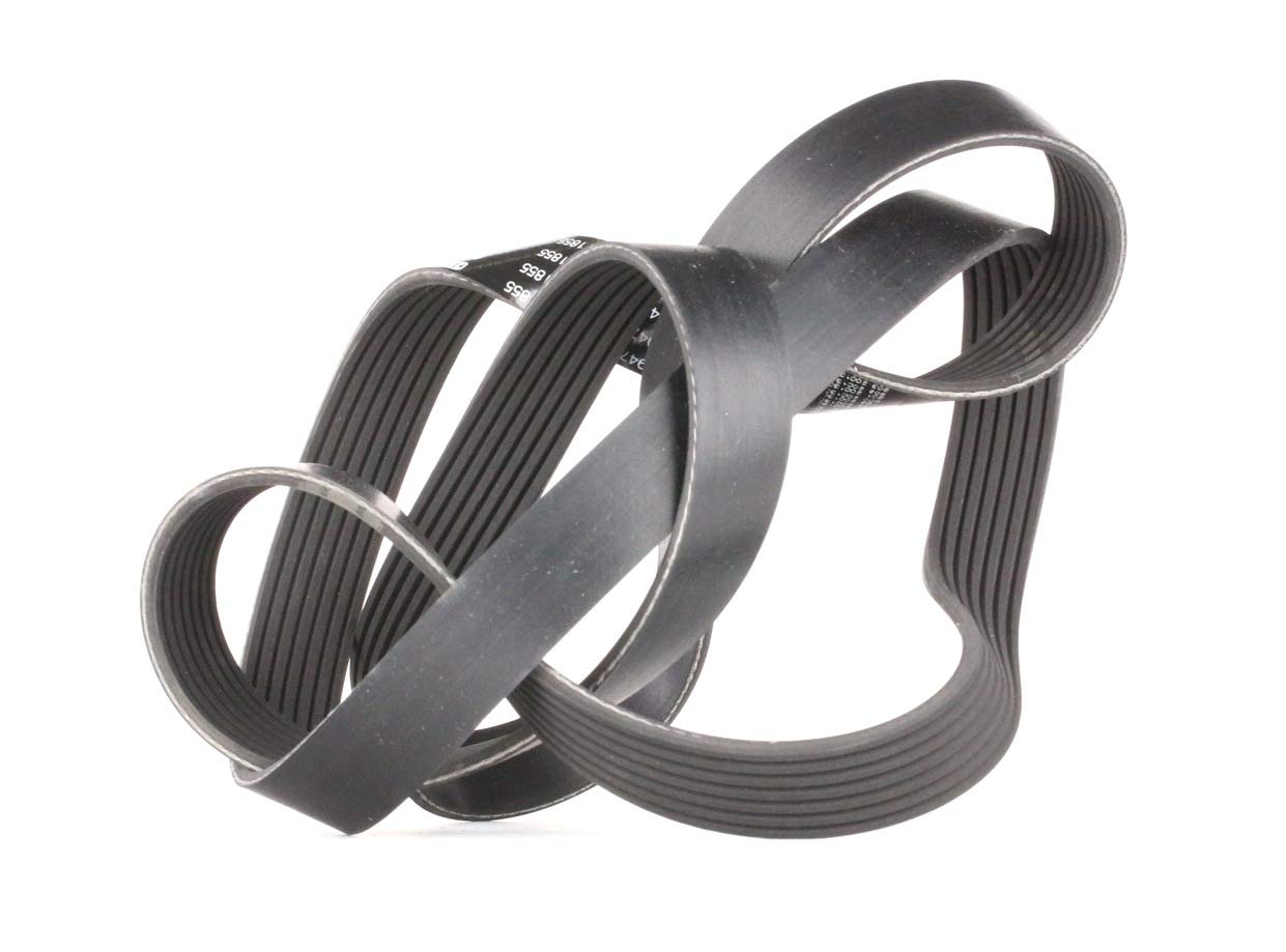 Cinghia Poly-V BOSCH 1 987 947 569 - Ricambio Auto Affidabile E - 8