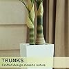 Product Photo 8