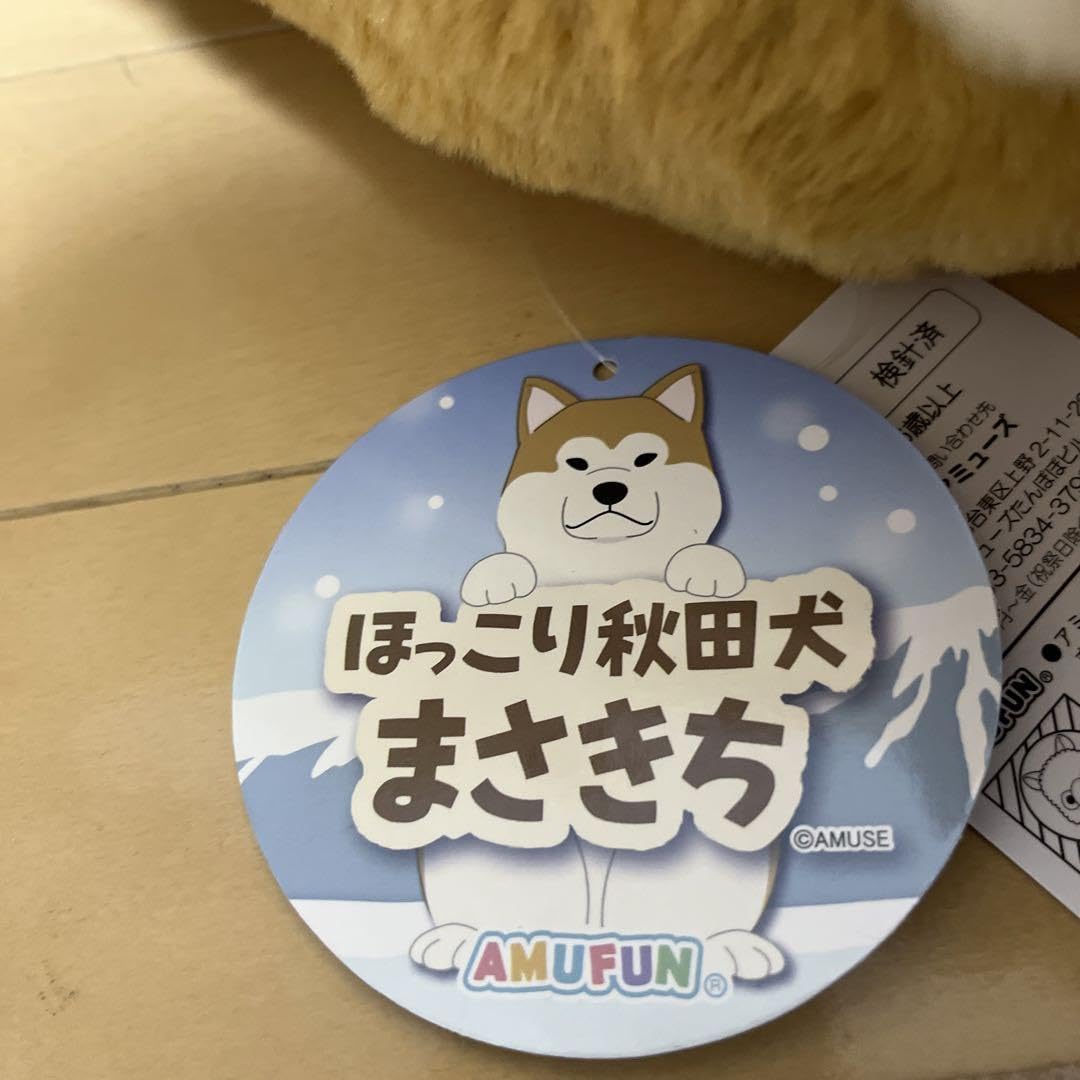 Amazon.co.jp: ほっこり秋田犬まさきち BIGぬいぐるみ 秋田犬