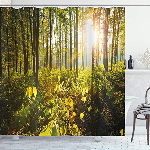 ABAKUHAUS Forêt Rideau de Douche, Sun Rays Woods Feuillage, Tissu Ensemble de Décor de Salle de Bain avec Crochets, 175 cm x 180 cm, Marron Jaune Vert