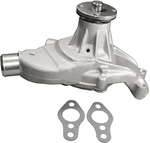 ACDelco Bomba de agua del motor Gold 252-664 (88926178)