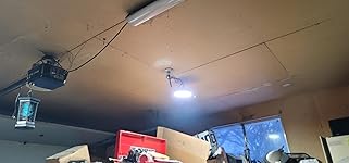 Review Image by Dan J Dan J