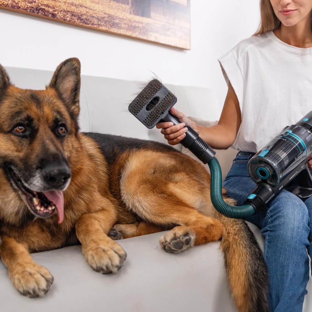 Cecotec Aspirapolvere Scopa Elettrica Senza Fili Conga Rockstar 2500 Thunder Flex Animal, Ciclone Parallelo, 400W, 30Kpa,122Aw, 65Min Auton, Tubo Flessibile, Spazzola Jalisco/Accessorio Animali